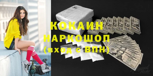 молекула духа Алексин