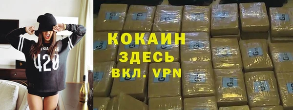 молекула духа Алексин
