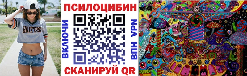 Псилоцибиновые грибы GOLDEN TEACHER Бежецк